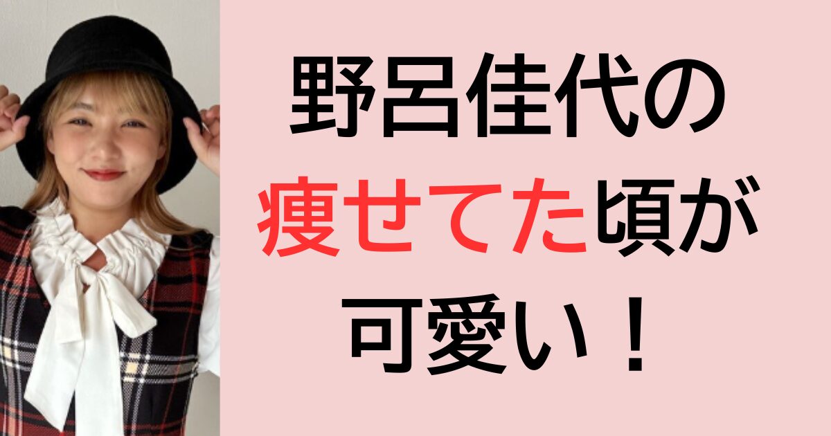 野呂佳代の痩せてた頃が可愛い！