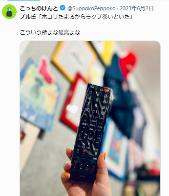 ブルさんが持ってるリモコン