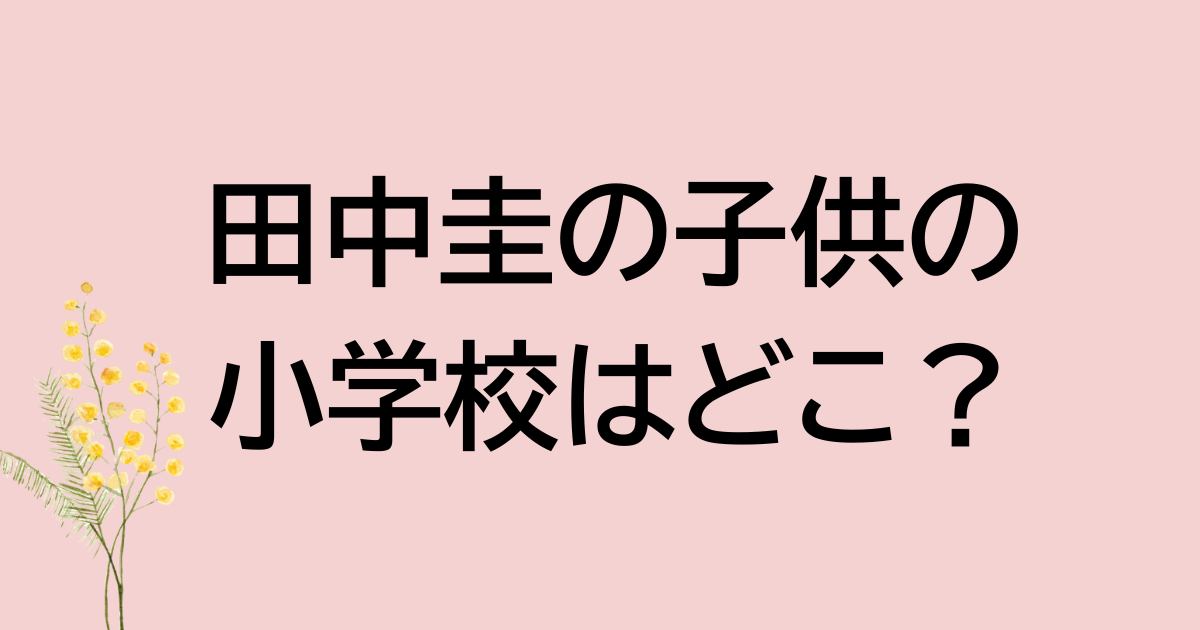 田中圭の子供の小学校はどこ？